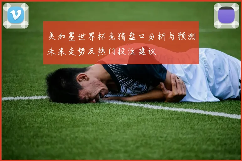 美加墨世界杯竞猜盘口分析与预测未来走势及热门投注建议