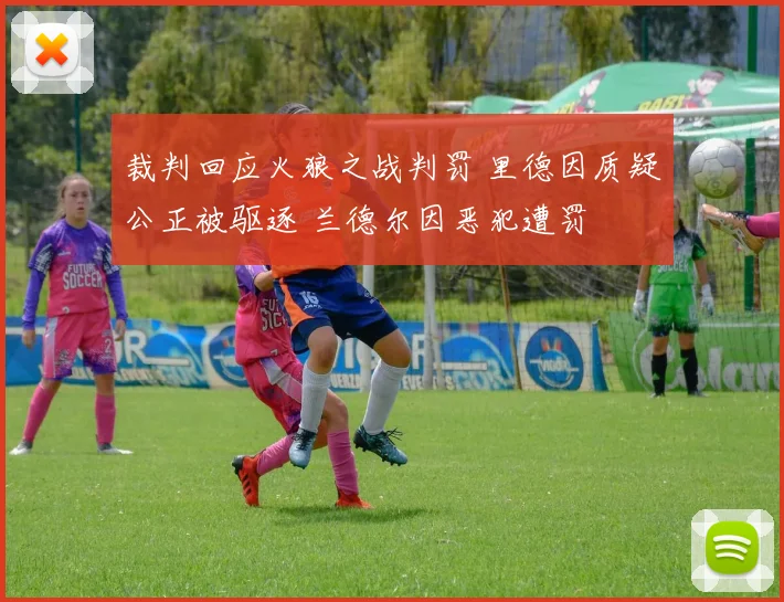 裁判回应火狼之战判罚 里德因质疑公正被驱逐 兰德尔因恶犯遭罚