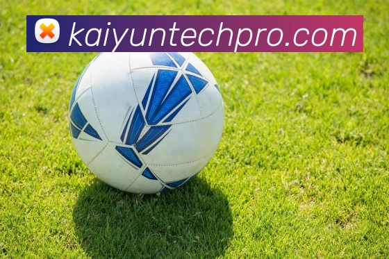 开云平台展示图