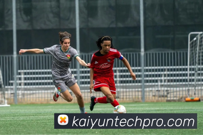 开云娱乐全站App